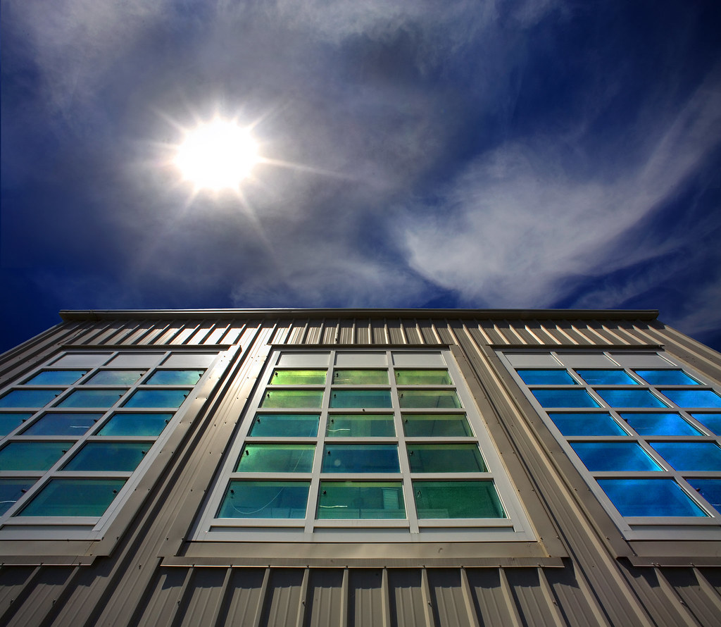 fort worth energy-efficient windows